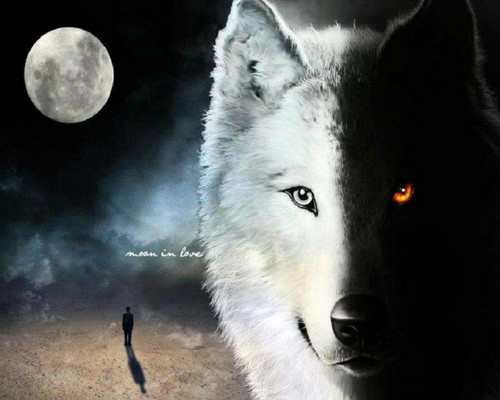 Бесплатно скачать картинки луна, ночь, волк, туман, moon, fantasy, abstract, man, wolf, animal, обои - 472683