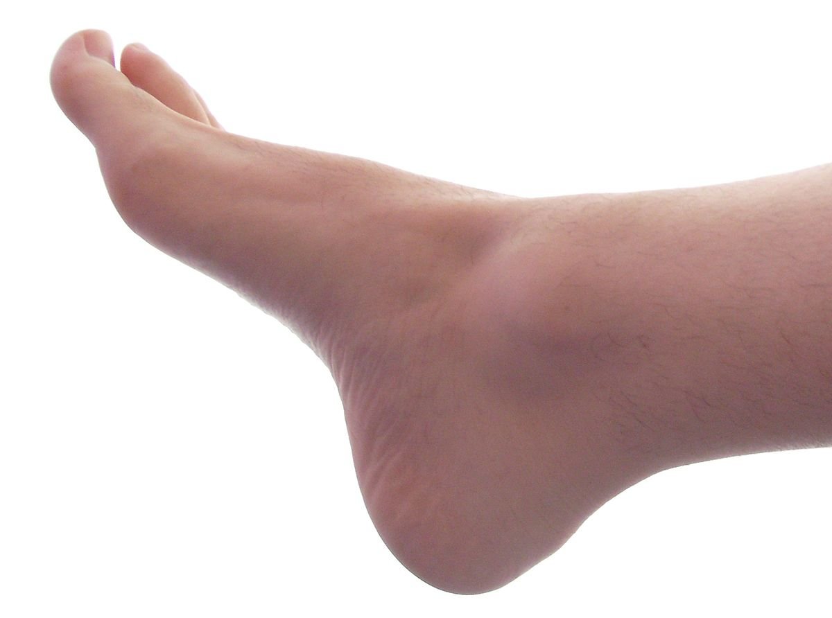 Male_Right_Foot_1.jpg.8094a0d61cd86c172f75bbf2cf9396f1.jpg
