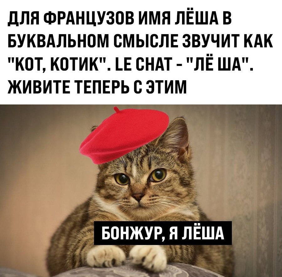 1613471588_abe60d3f94a37122579df3da6e1fe6028a1757be.jpg.8d76115efb7c5f3fcd796e5bd78b2e55.jpg