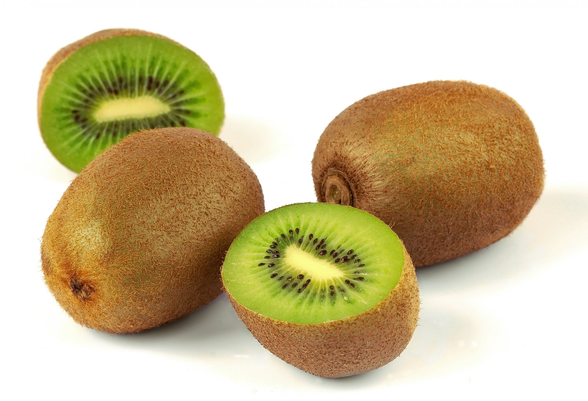Kiwi_(Actinidia_chinensis)_1_Luc_Viatour_edit.jpg.f751f1781396e0f01d884ca94a851bd2.jpg