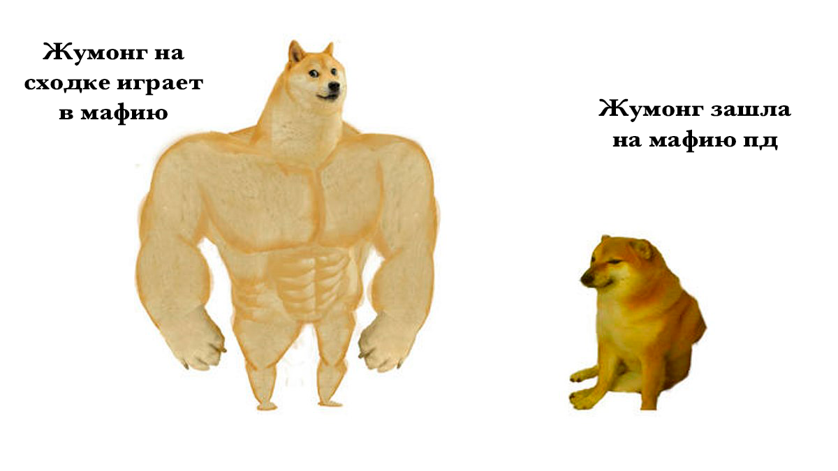 SwoleDogeVSCheems.png.8a04fbf4fd9d691f72f5c21a8158430a.png