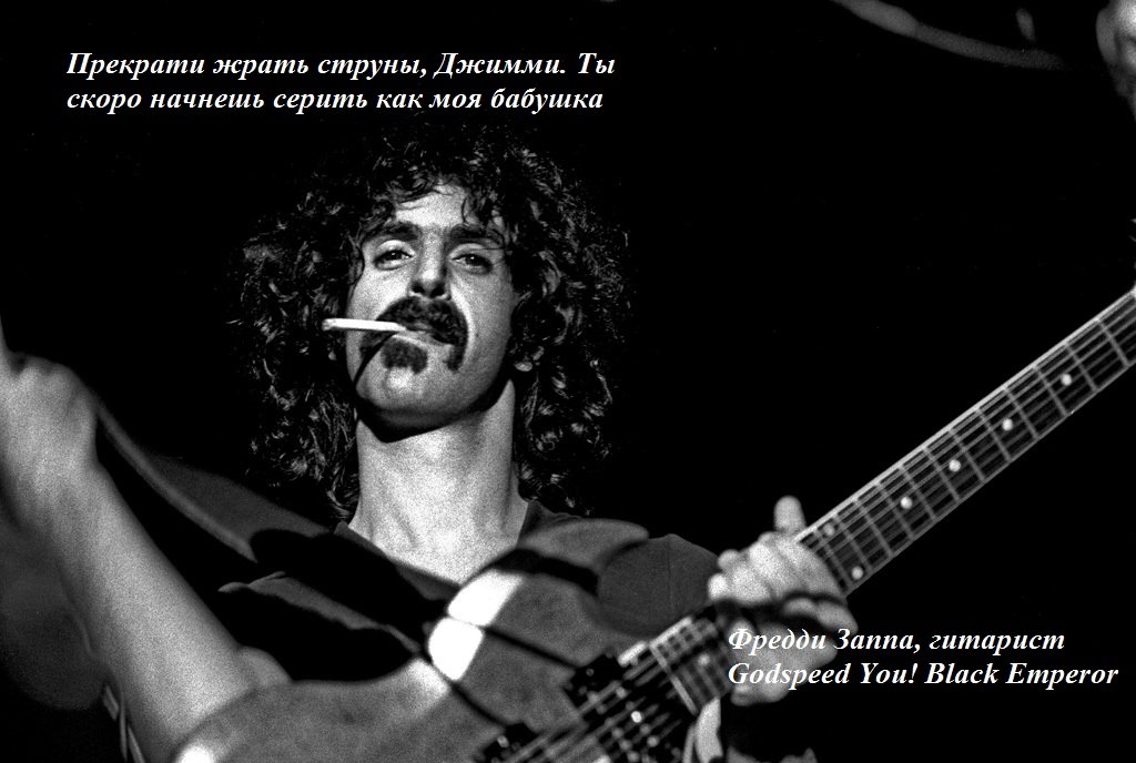 frank_zappa_3.jpg.9a110048e67bdf7d43091a01de543573.jpg