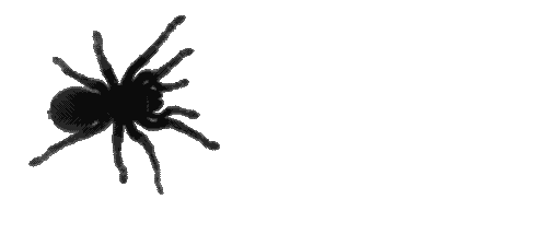 spider-crawling.gif.83a9c71a508f0d7646e5411da40c65eb.gif