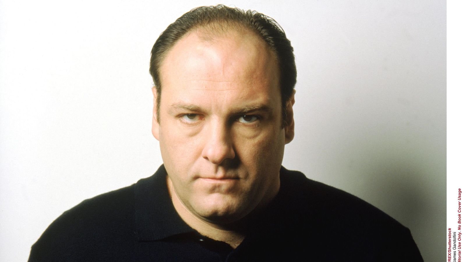 skynews-tony-soprano-james-gandolfini_4253599.jpg.996827452bf2e3b3d42ffe9066ebe0b6.jpg
