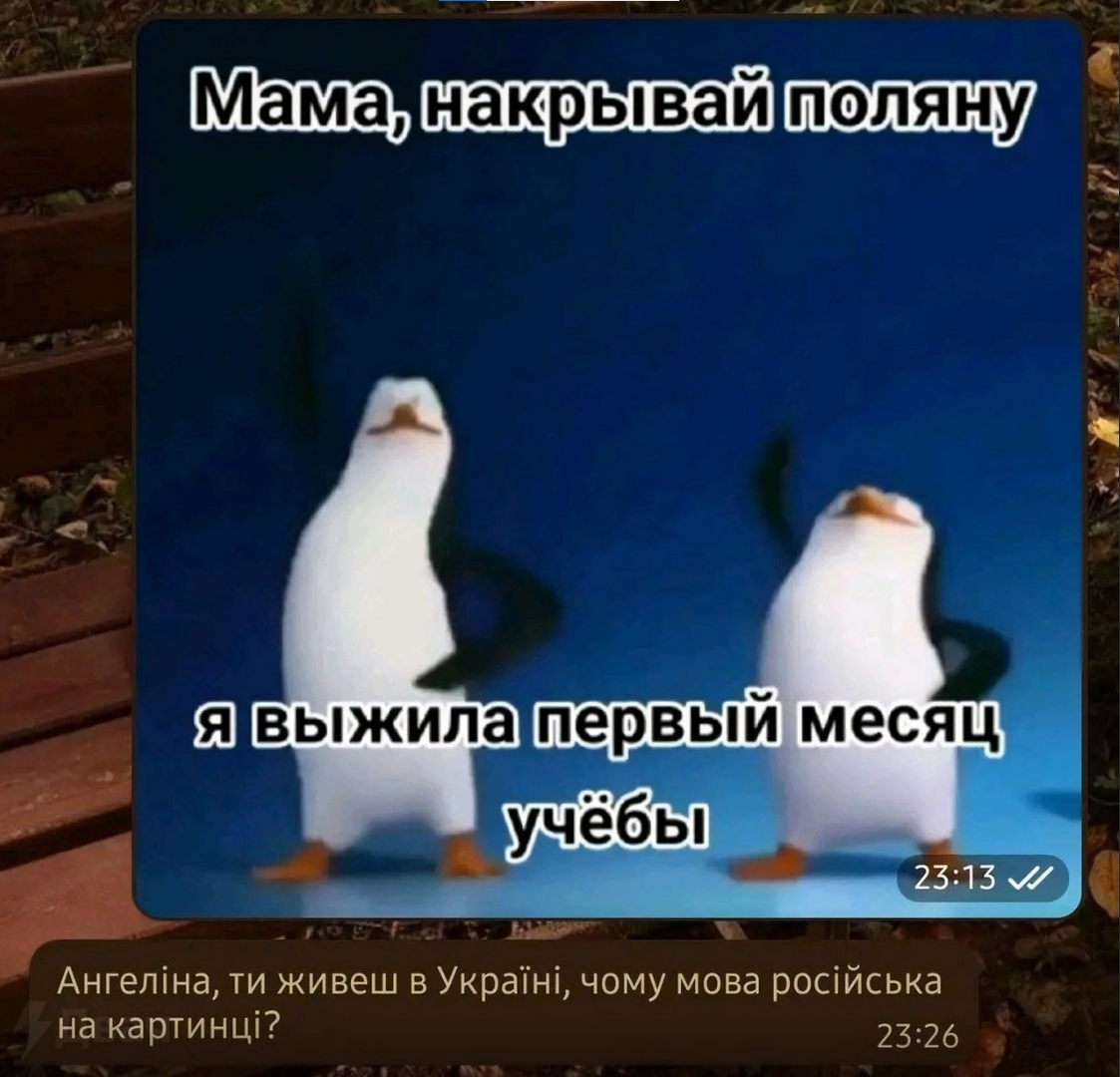 image.png.2f6d40d7c75f2be270e76666e06255e2.png