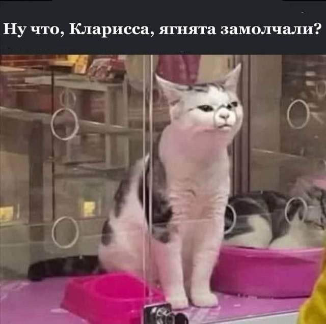 telegram-cloud-photo-size-2-5359416572164297142-x.jpg.89e0d5252f04f115fd47cf95e64800db.jpg