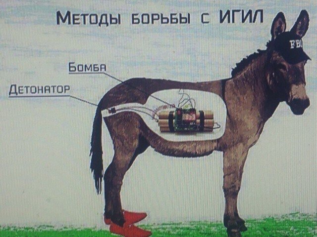 IMG_1899.jpeg.5877cd148de69e24eca34ba8477b4d06.jpeg