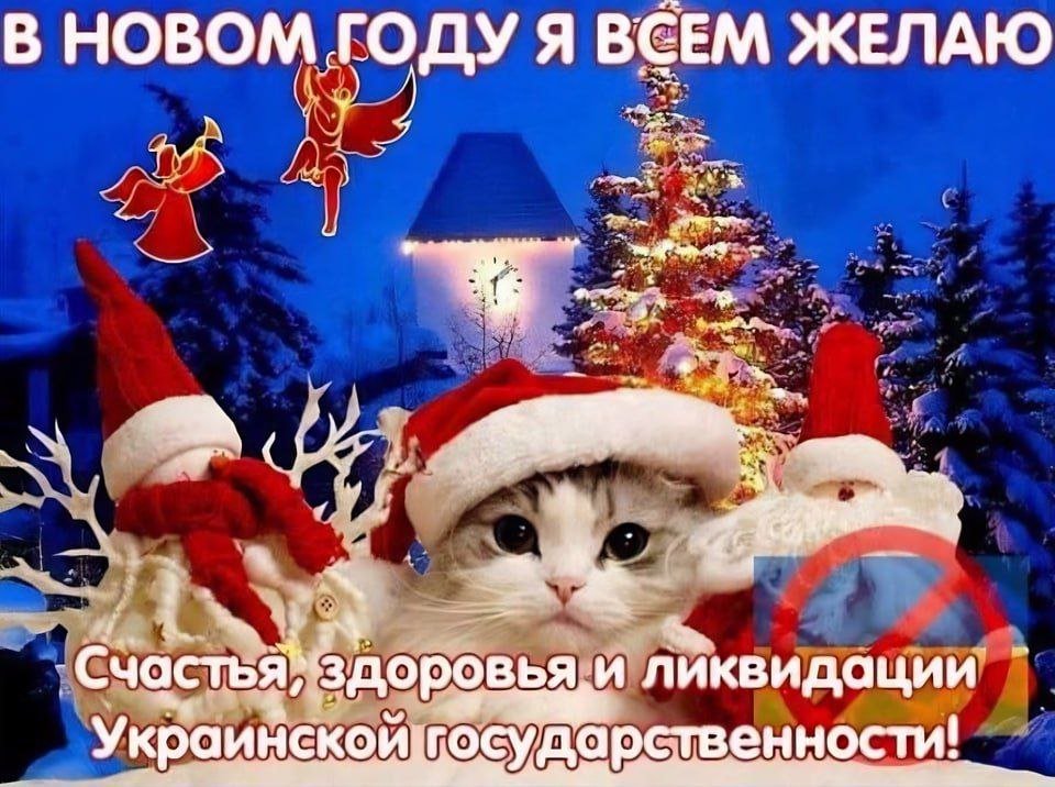 ca99.jpg.64d690e73b086abc910b00f83a228af9.jpg