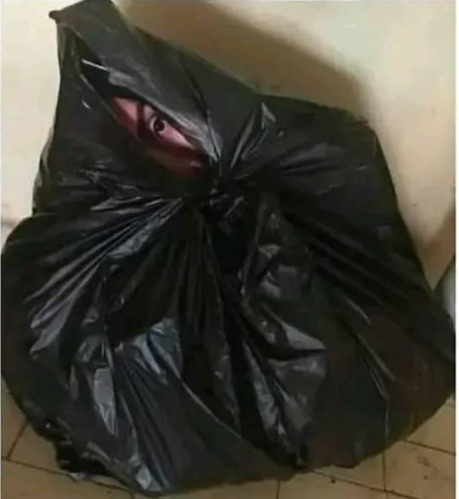 image.png.b61ce2722df6370389300135c1d862df.png