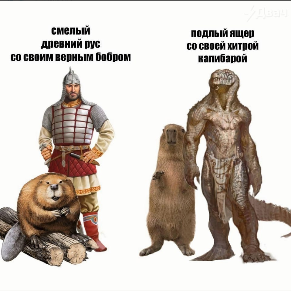 image.png.1821ccc3060ec5570430f34226497b7a.png