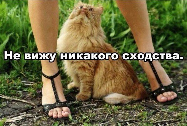 IMG_2817.jpeg.7397e74485c0f38c86e99082698acc25.jpeg