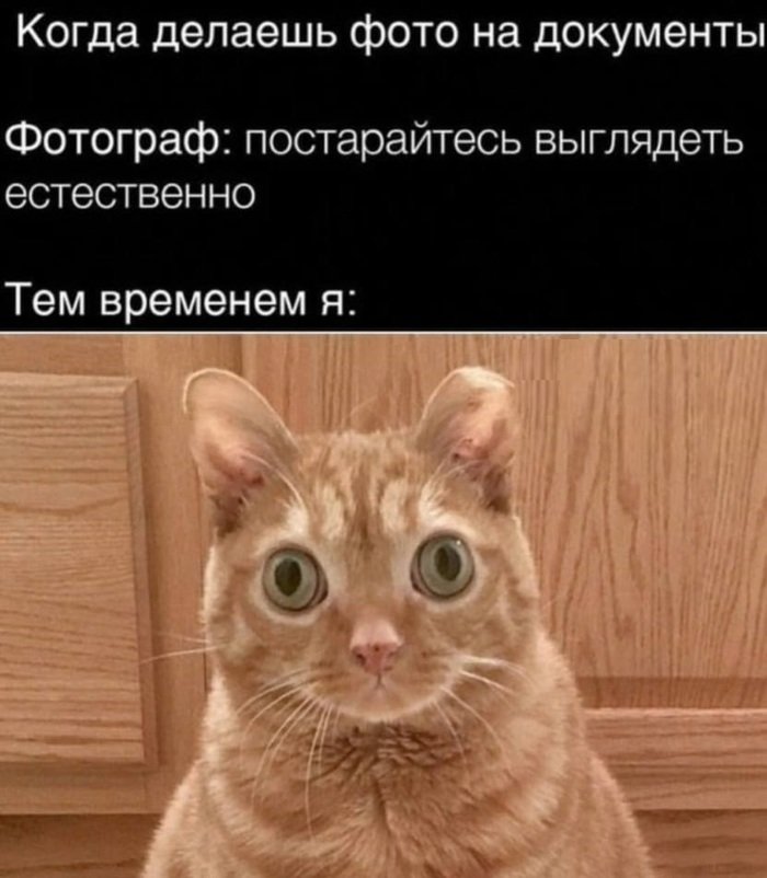 IMG_3205.jpeg.9bfe3479c630c310be38b62a7a972fec.jpeg
