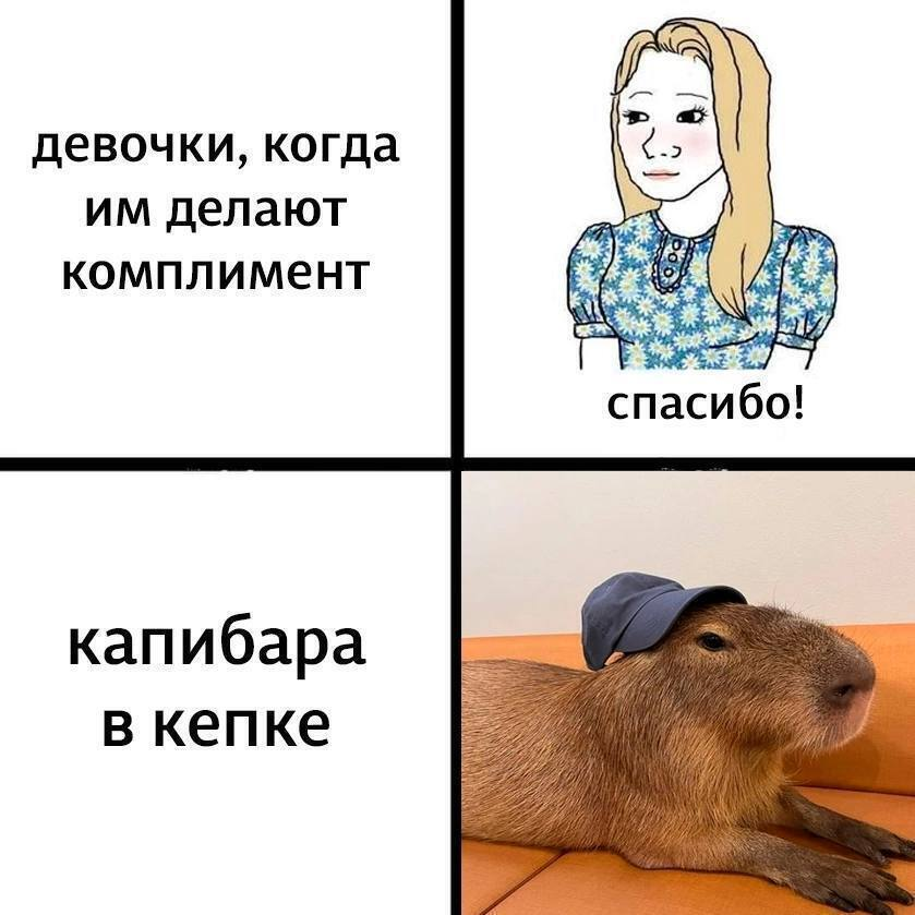 image.png.b7cfa451005b76e0fe20a654e763cbf9.png