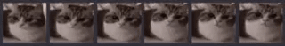 catBoom.gif.eb949e2260fc34609190a93dc7d89405.gif