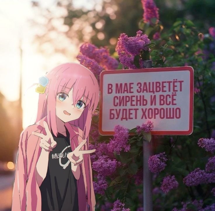 bef6ca4a8687c90fd805aa459089544e.jpg.f1a5eaf8f46756f74e240575cdd538f0.jpg