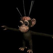 VTMonkey