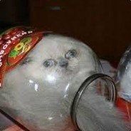 sauceman