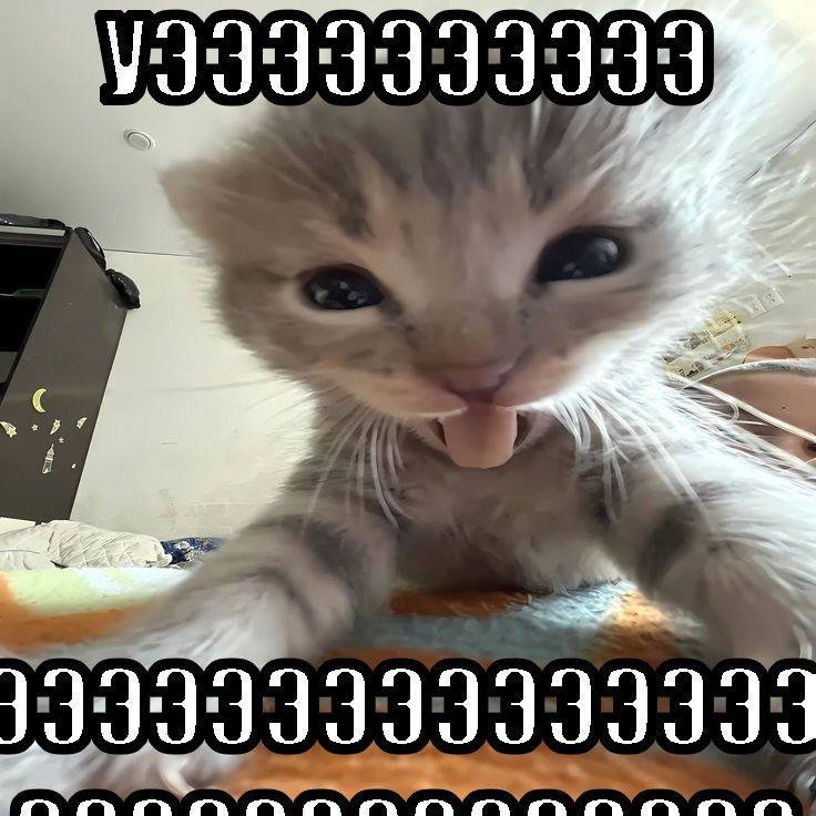 P0JIT0H