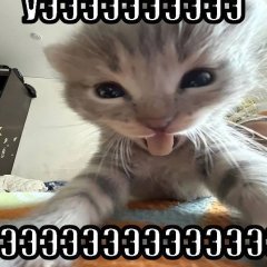 P0JIT0H
