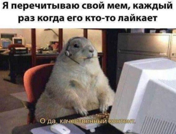 image.jpeg.215d2619076d3e22c11846cb61ff7e32.jpeg