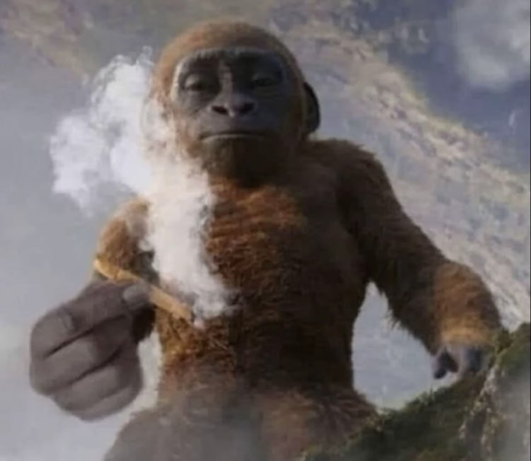 image.png.4eeb036dda30f7f0e6ee418533adbff4.png