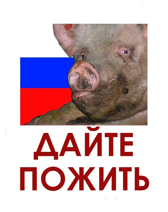 image.png.55d58aab9953b06935d2ca74667e9321.png