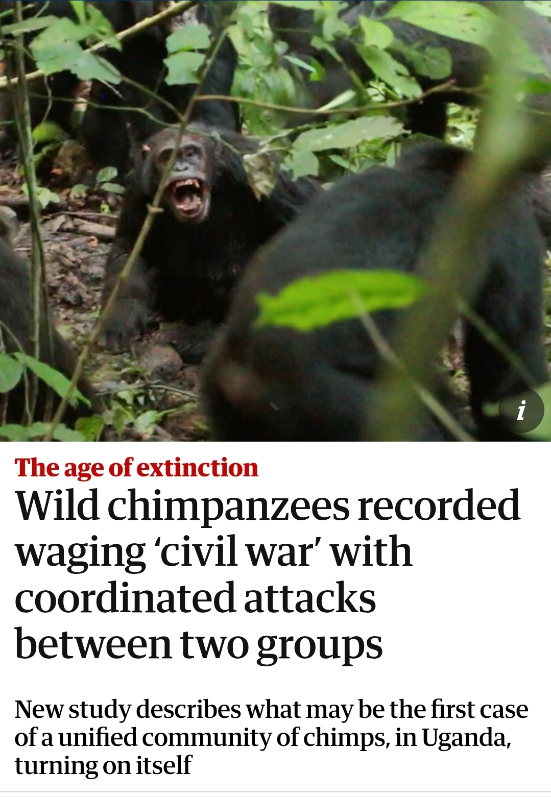 image.png.7e918fb5c9e774845f91a2a5599e2d33.png