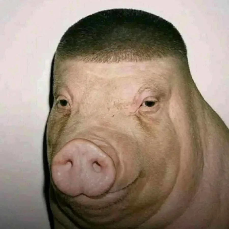 image.png.82ada9696357047c456bd0fcfc449050.png