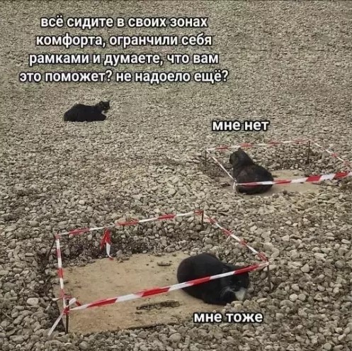 image.png.950bbe40acaf95ac1281419c2481af7d.png