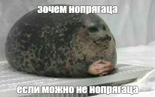 image.png.9e929c4dcb336dc0c594efb3772babfa.png