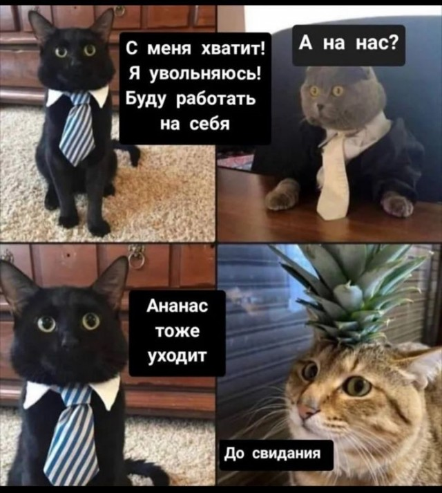 image.png.c3940774eeb356cc49f7035f47d77a51.png
