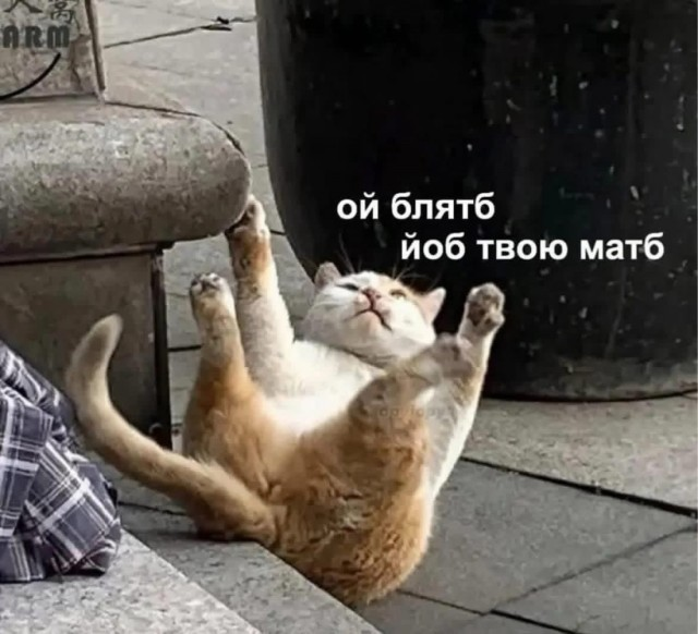 image.png.e4f482aed047b9fc33b733e0be439c8b.png