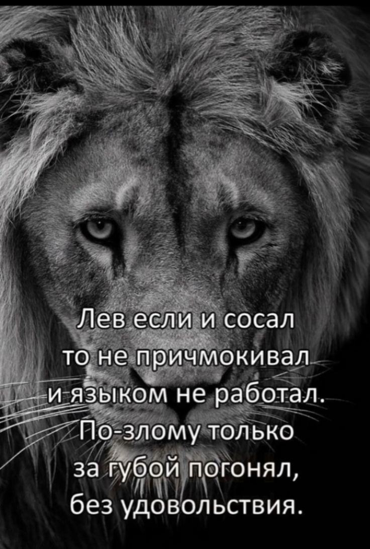image.png.f6956e824e46a289623ad86d7d6b191c.png