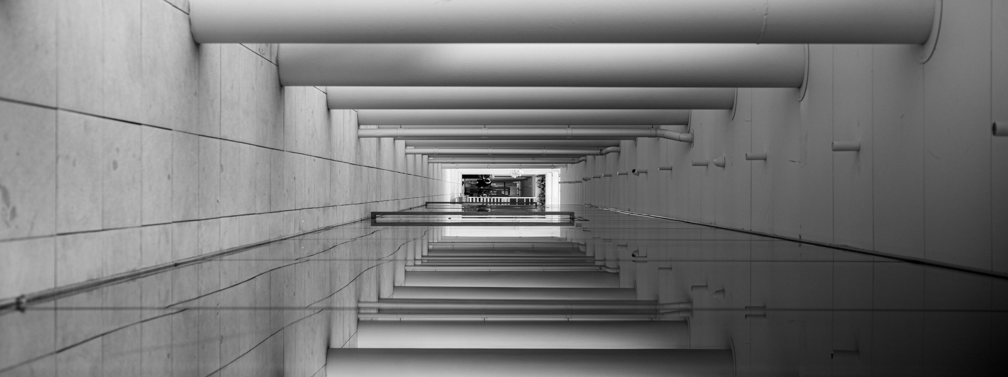 0X8A4179.jpg.fd9ad72e99a912906f46160d03f2f939.jpg