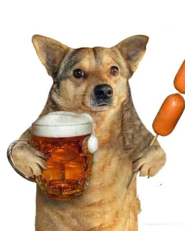 Bararym