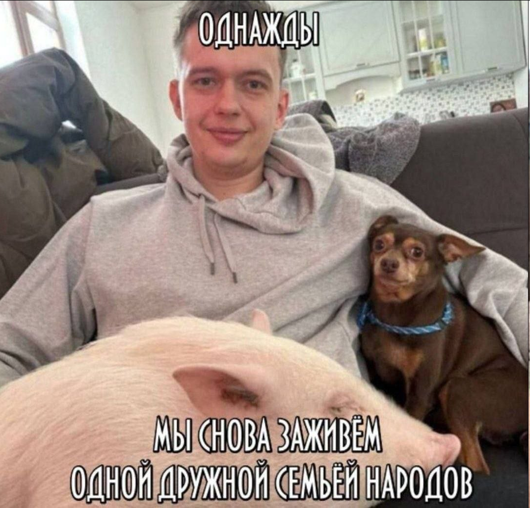 1845052592_.png.bed90f04075c2d1443e399c035d72fcb.png