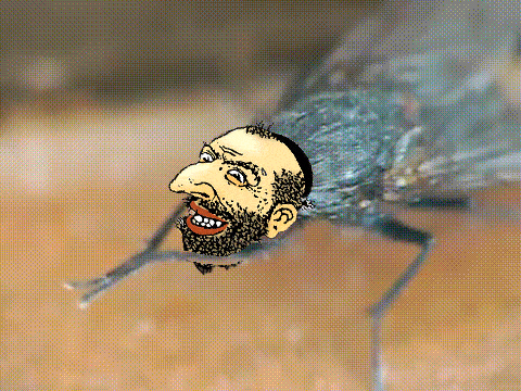1927707905_theflyjew.gif.b32ebc64e162fb19a49696917de857c0.gif