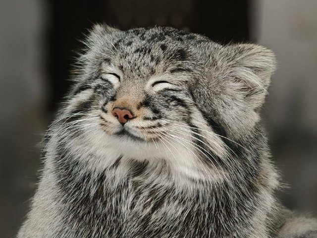 image.png.14e97f1adee51267ed9f0cf96e6fd231.png