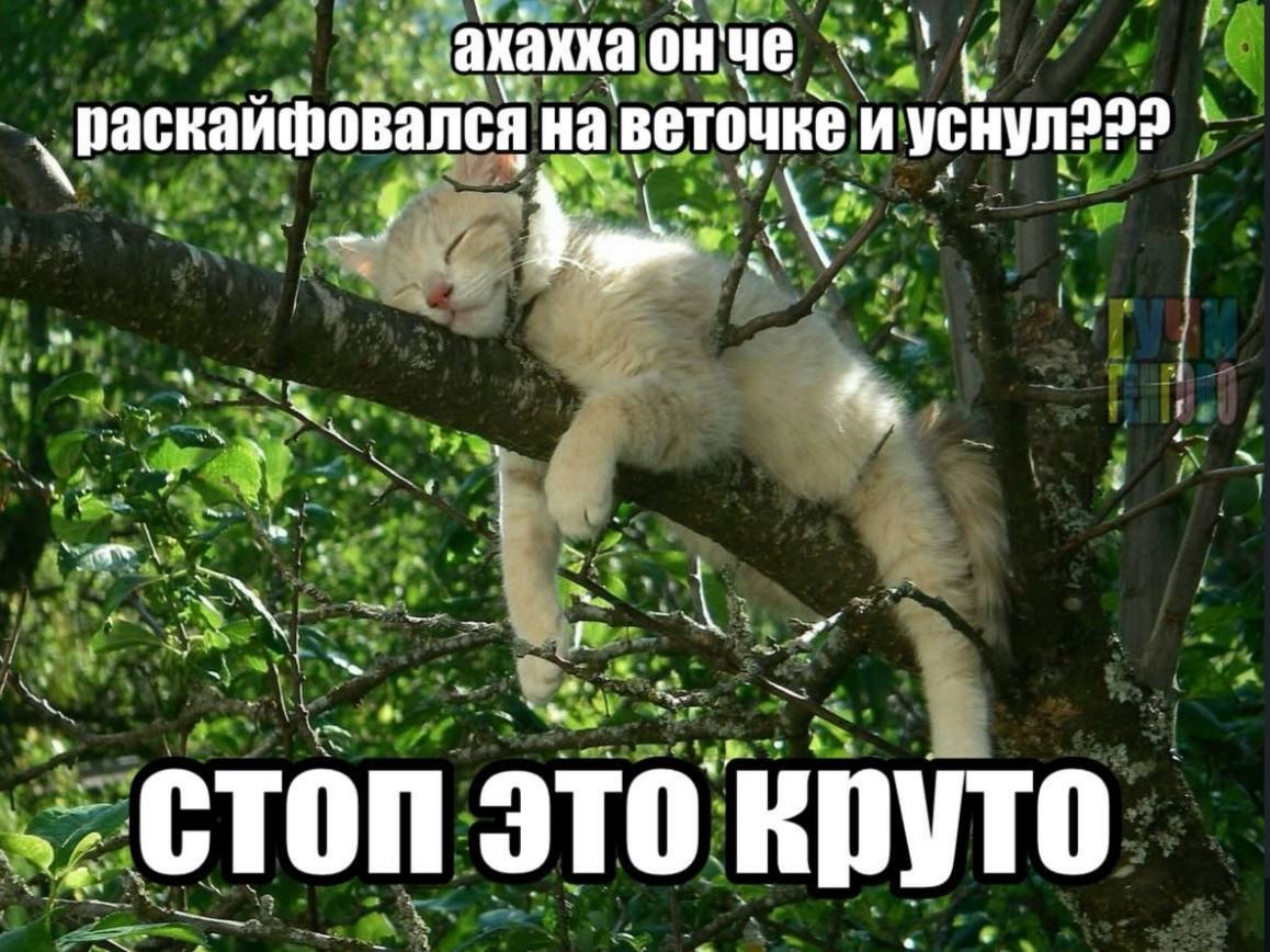 image.png.361b086fe93ca96a1ae78d427046b714.png