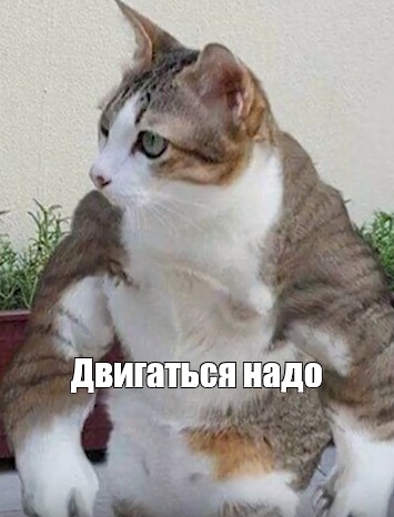 image.png.5ab916c761d2fcdac7f820665c8de83b.png