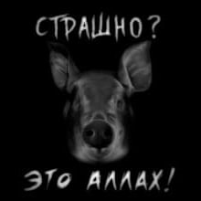 image.png.633def5ade4b76a9aaef4b386f94cec5.png