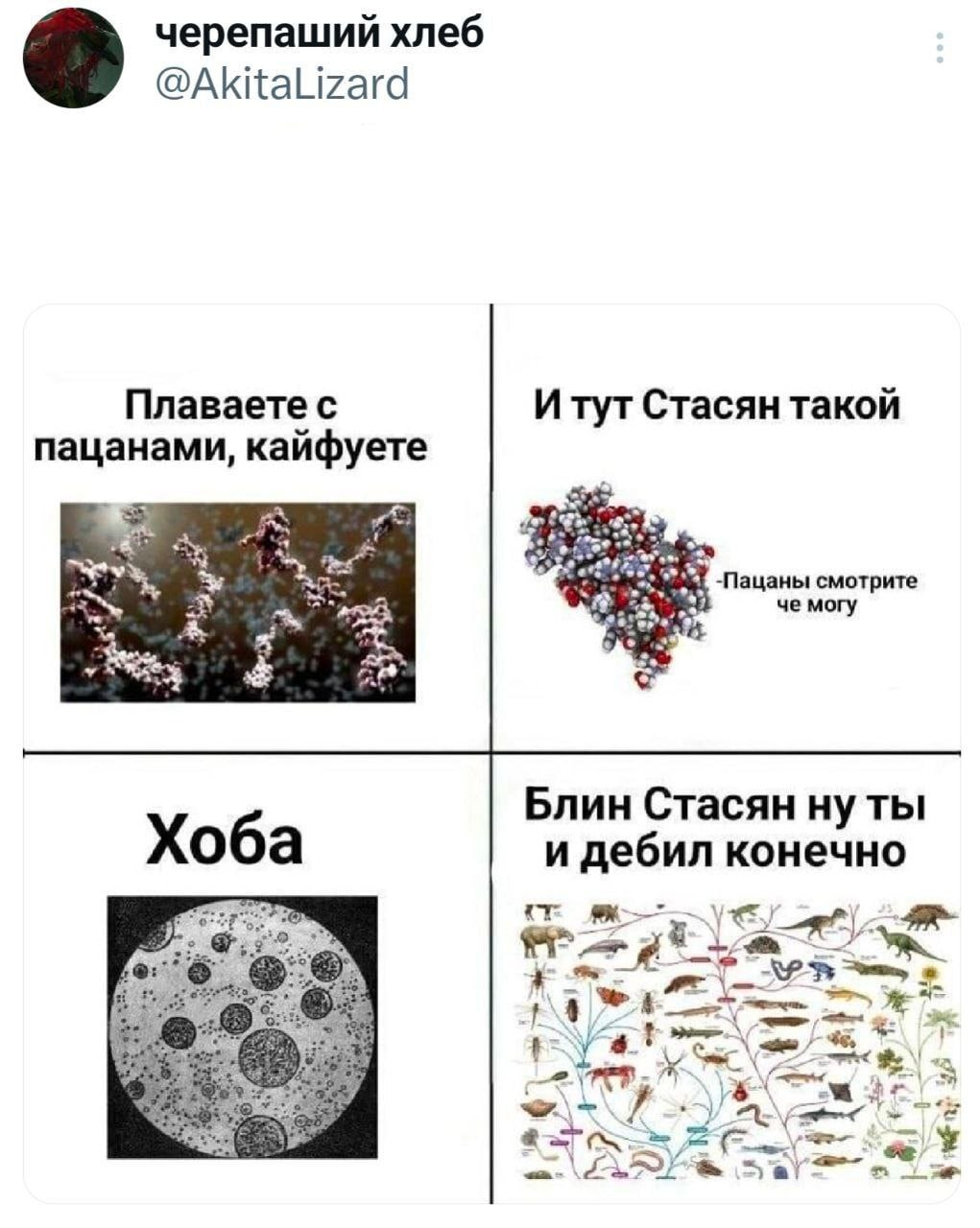 image.png.a70faeb70acd1b02100d8390903059cd.png