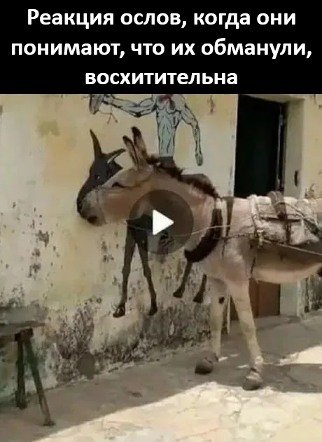 image.png.ac1c9bd38482c756762835d2386fc6e7.png