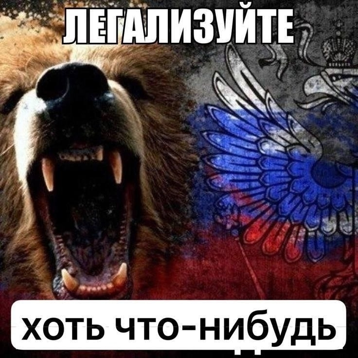image.png.d127add1ce5766588596cbbbc830b1b8.png