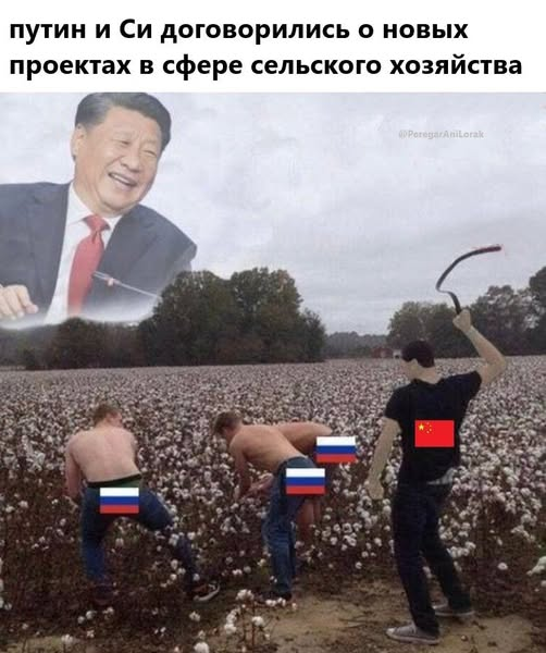 image.png.dd0d5d4706cf44de13263b750d16ab69.png