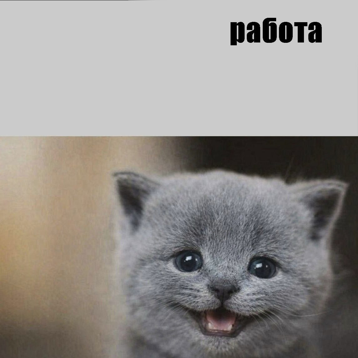 image.png.e384fa8240dbe8b824c0eddda04d0714.png
