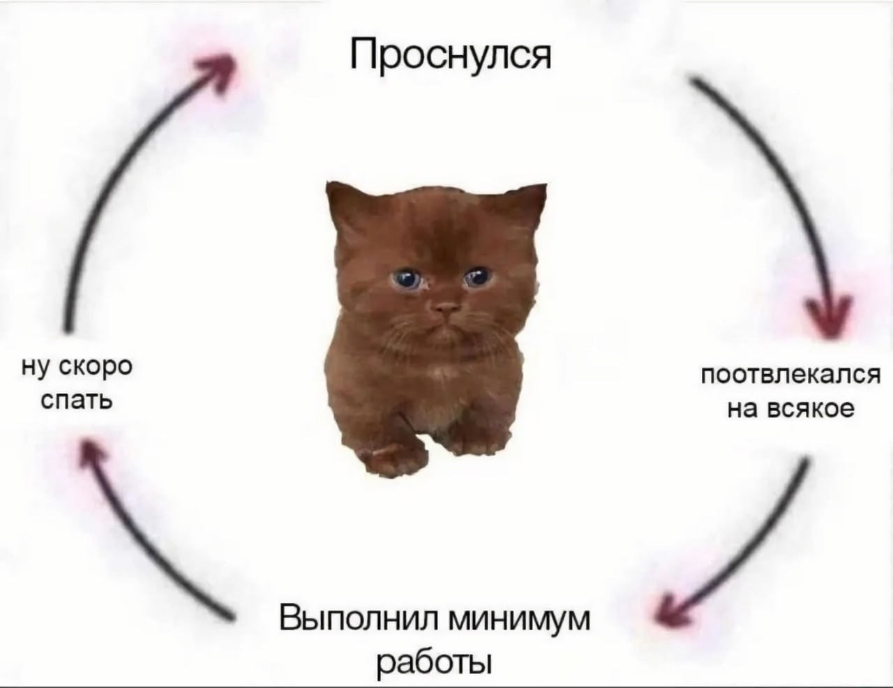 image.png.fab511ddbb40cc381dbf1fd290d14e52.png