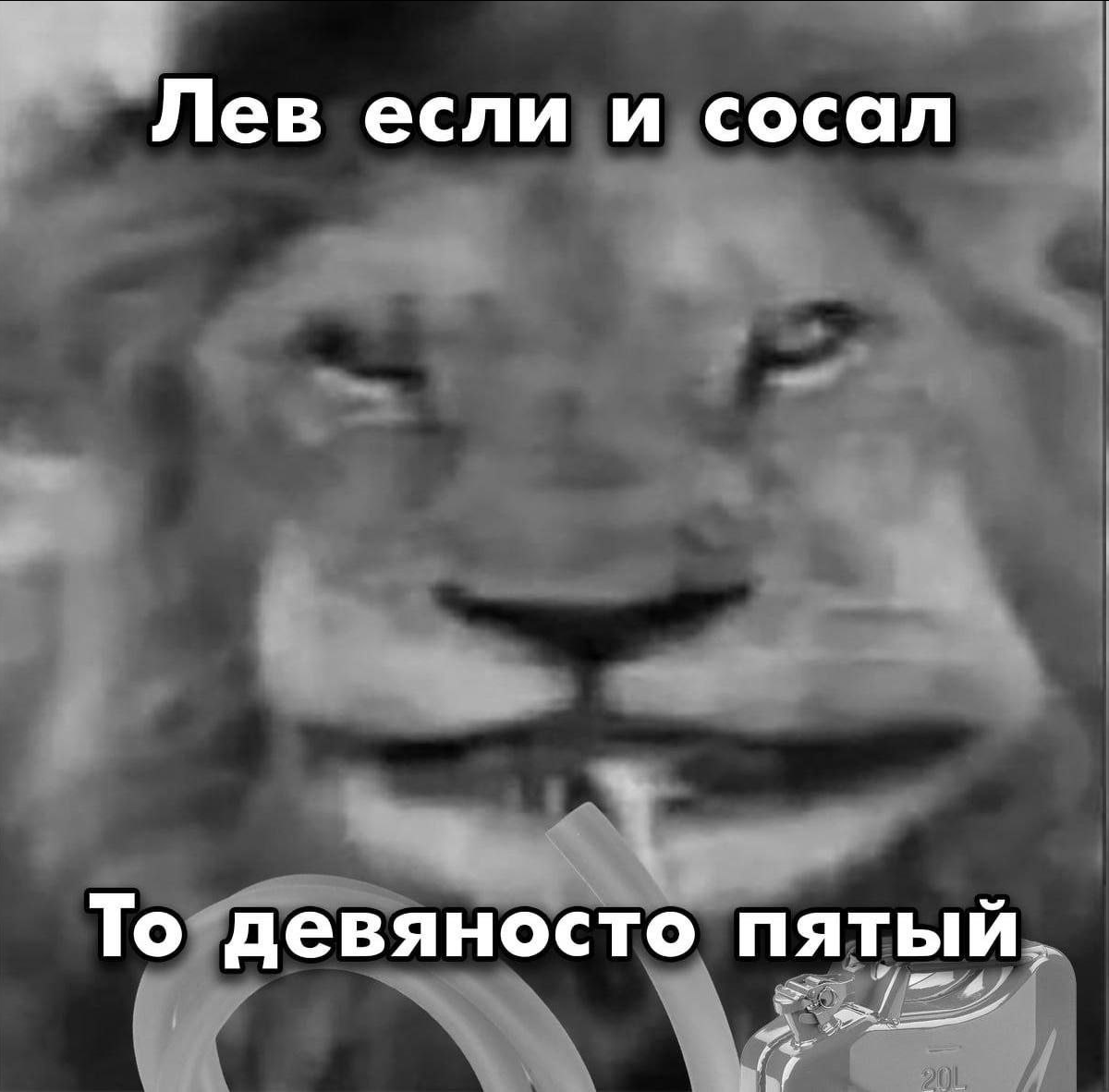 445756675_.png.cc089a0237cbf5c6602b56f0d3b837a5.png