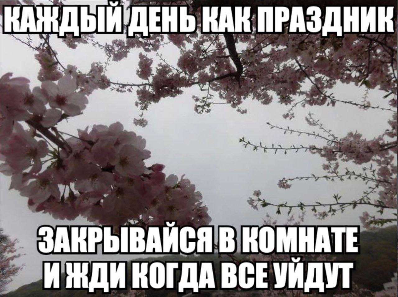 image.png.17874ec6e9f7a5d2108f53587637e718.png