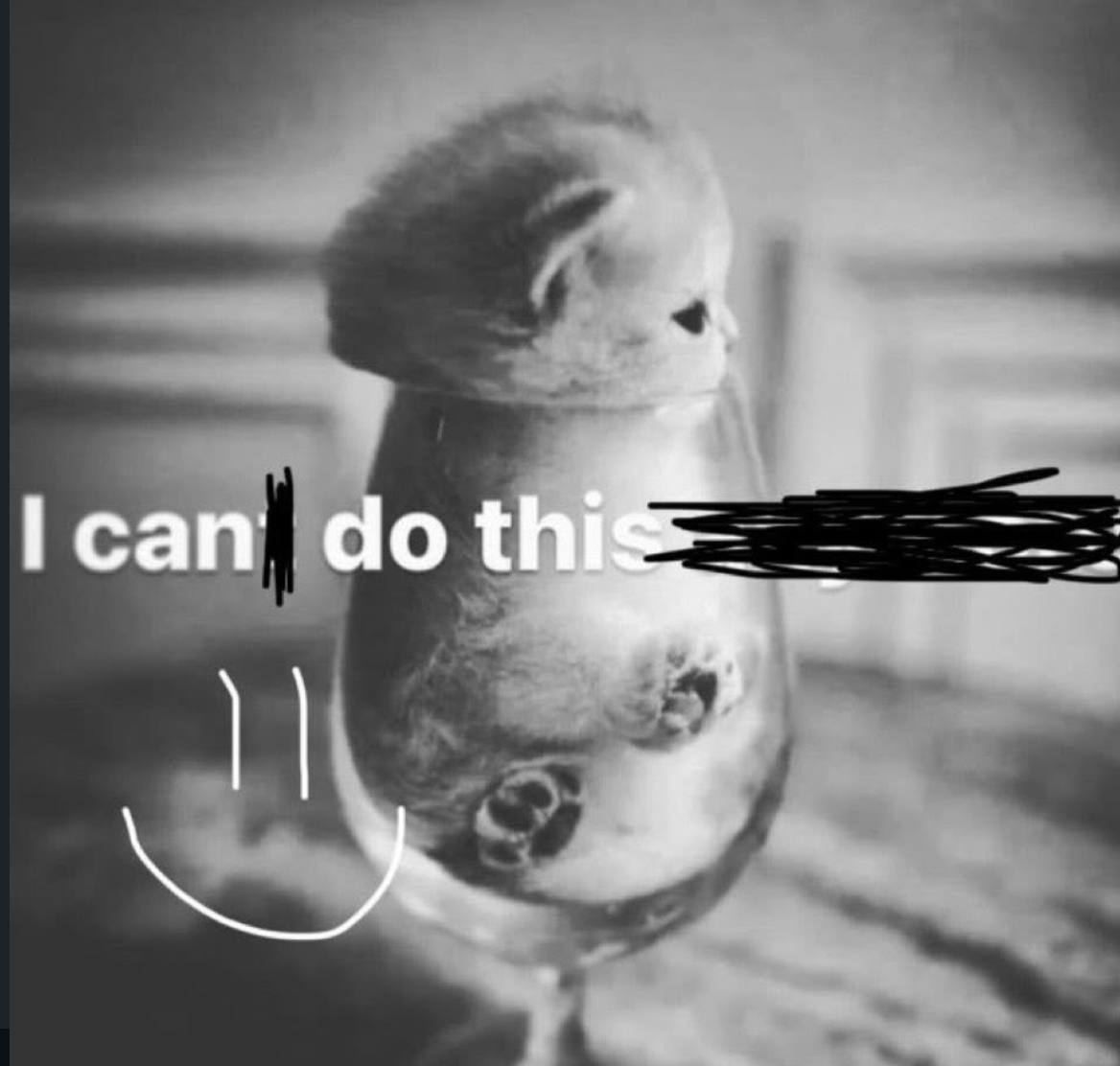 image.png.5ec2a1c2abb8dd5f97c0ab26b1216736.png